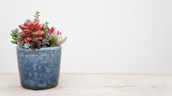 新宿伊勢丹で“おとなのお花見会”。「にっぽん てならい堂」とコラボした10種類のワークショップ