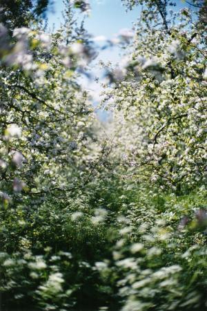 ディプティック新作オードトワレ。思い出を辿る甘く懐かしい香り