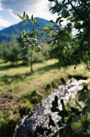 ディプティック新作オードトワレ。思い出を辿る甘く懐かしい香り