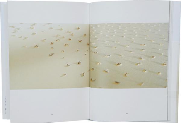 ギフトにおすすめなこの1冊、NADiff a/p/a/r/t・スタッフが選ぶ2016年ベストオブブック【vol.2】