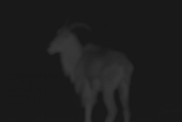 日本の若手写真家たちの作品を世界へ。六本木IMAで気鋭の写真家による写真展