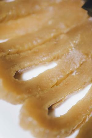 日本全国の“発酵食品”をテーマにした「発酵醸造未来フォーラム」が、青山の国連大学にて開催