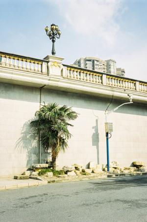 ステラ マッカートニーの「ONE CITY, ONE GIRL」シリーズ、最新作は“上海”を舞台にスタイリストのフィル シャオ バイを起用