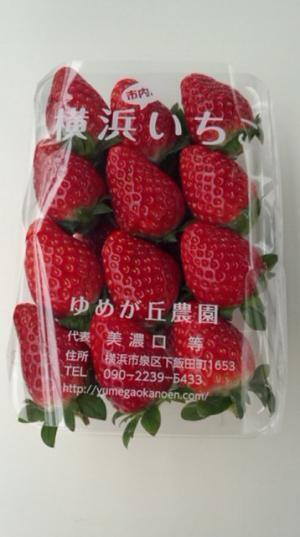 横浜赤レンガ倉庫で「ストロベリー フェスティバル」が開催。いちごの無料サンプリングも！