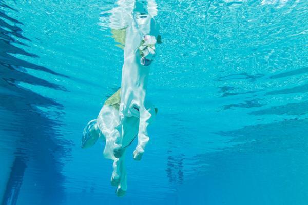 プールの中に並ぶアート作品。世にも珍しい水中エキシビション「シュノーケル・ドリームス」