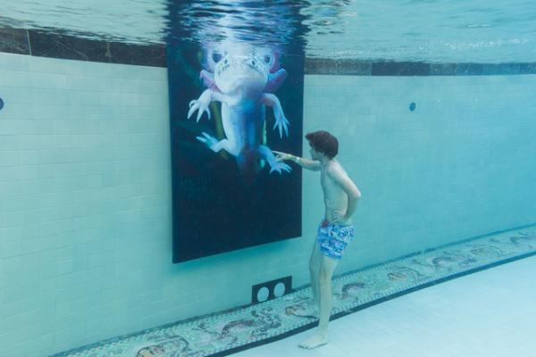 プールの中に並ぶアート作品。世にも珍しい水中エキシビション「シュノーケル・ドリームス」