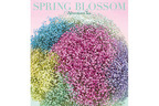 アフタヌーンティー・リビングが「花で彩る毎日の暮らし」を提案。青木むすびによるイメージビジュアルを展開
