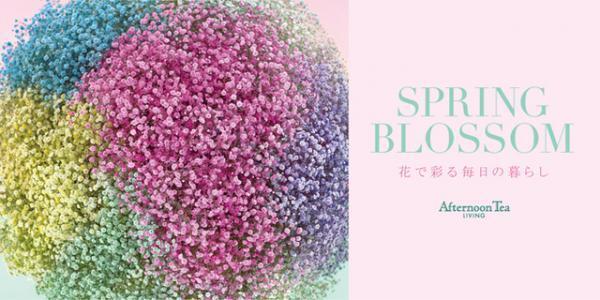 アフタヌーンティー・リビングが「花で彩る毎日の暮らし」を提案。青木むすびによるイメージビジュアルを展開