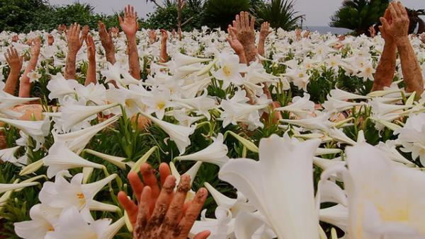 「KYOTOGRAPHIE 京都国際写真祭 2017」が今年も開催！2017年のテーマは“LOVE”