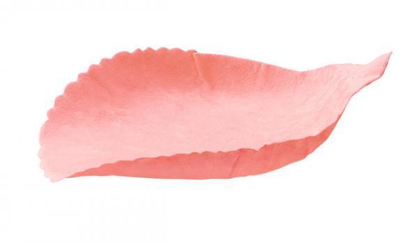 レ・メルヴェイユーズ ラデュレが、エレガントな女性に向けた2種類の新作コスメを発売