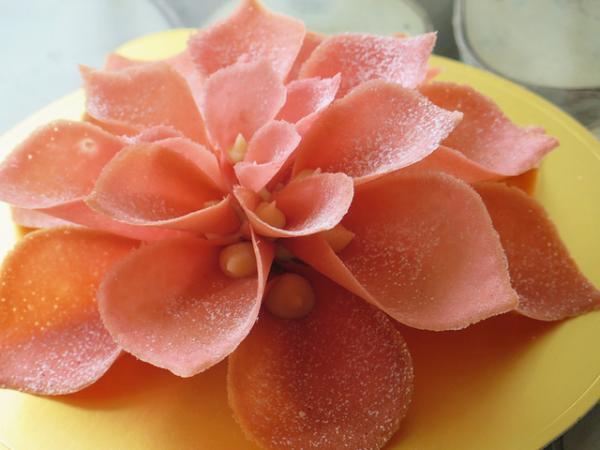 ドミニクアンセルベーカリー、銀座三越に日本2号店をオープン！空飛ぶケーキなど銀座だけのスイーツがお披露目