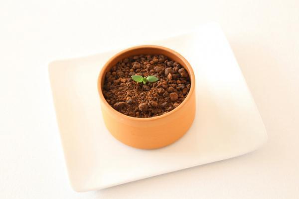 鉢植えのチョコレートムースに、蝶が舞うハチミツのガトー...春スイーツの庭園がハイアット リージェンシー 東京に!?