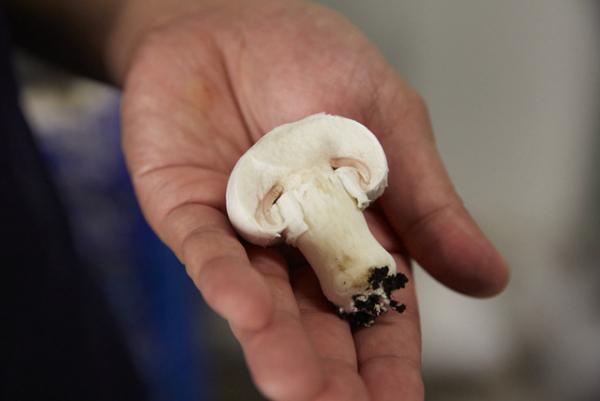 青山のファーマーズマーケットが“種”について考える2日間のイベントを開催！