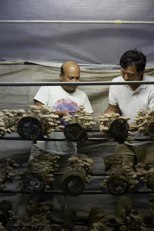 青山のファーマーズマーケットが“種”について考える2日間のイベントを開催！