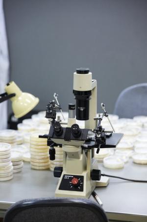 青山のファーマーズマーケットが“種”について考える2日間のイベントを開催！