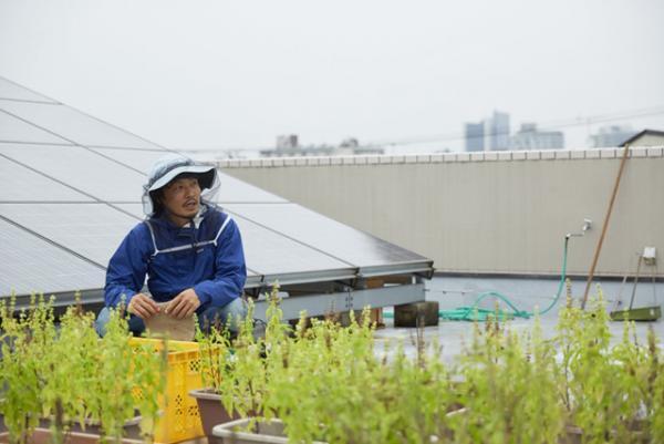 青山のファーマーズマーケットが“種”について考える2日間のイベントを開催！