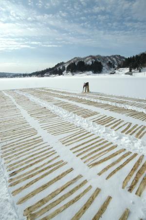 青山のファーマーズマーケットが“種”について考える2日間のイベントを開催！