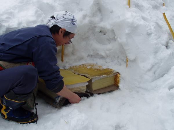 青山のファーマーズマーケットが“種”について考える2日間のイベントを開催！