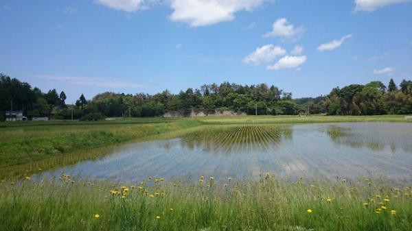 今秋開催、奥能登国際芸術祭2017参加アーティストの第3弾が発表！公式写真は石川直樹