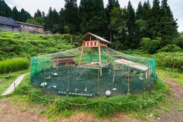 今秋開催、奥能登国際芸術祭2017参加アーティストの第3弾が発表！公式写真は石川直樹