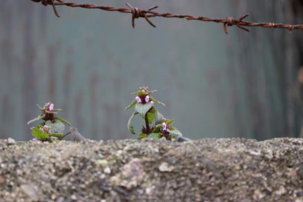 今秋開催、奥能登国際芸術祭2017参加アーティストの第3弾が発表！公式写真は石川直樹
