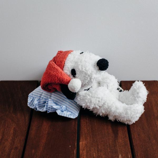 スヌーピーミュージアム開館1周年記念にピーナッツの仲間たちが大集合！