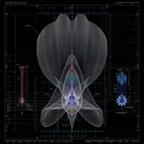 真鍋大度らを輩出したIAMASがラフォーレ原宿でメディアアート展を開催