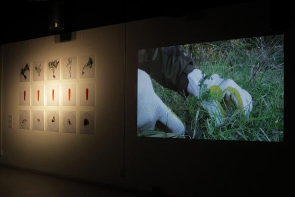 真鍋大度らを輩出したIAMASがラフォーレ原宿でメディアアート展を開催