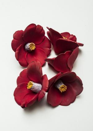 舘鼻則孝が個展を開催、椿を敷き詰めた大型インスタレーションなどの新作も