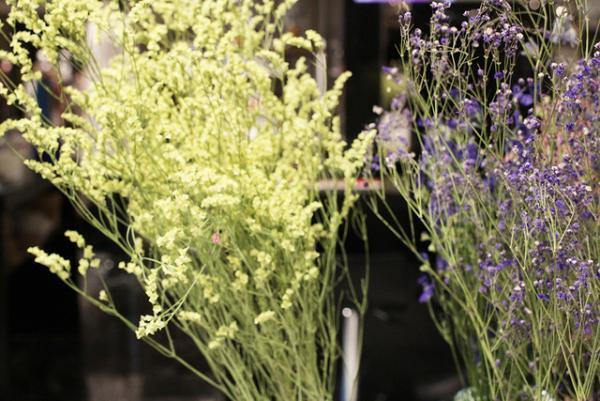 新宿伊勢丹リ・スタイル×Lula JAPANの体験型エキシビジョン「LULA PAVILION」開催。人気デザイナーの1点ものアイテムも