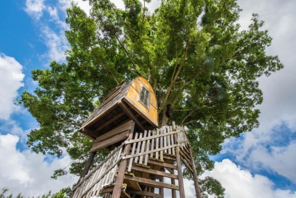 広大な牧草地を利用したキャンプ場「一番星ヴィレッジ」の予約受付がスタート。今年からロングステイキャンプも