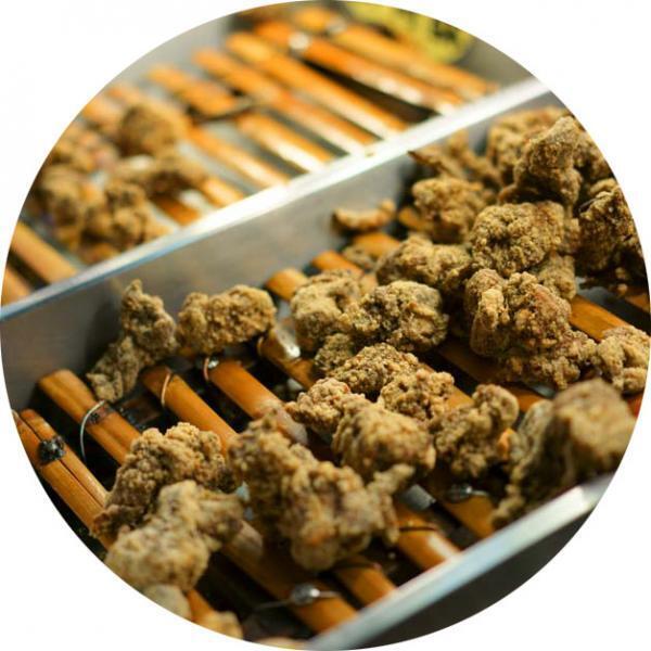 台湾グルメをまるごと味わえる！「東京タワー台湾祭2017」が開催