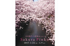 中目黒で桜とアートがいっぺんに楽しめる展覧会、中目黒アート花見会「Sakura Pink」展が開催