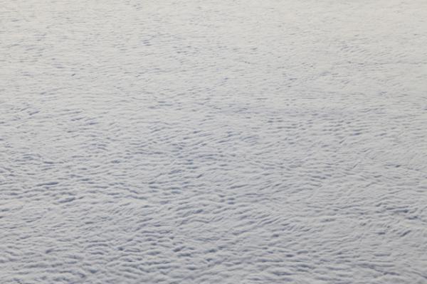 カールステン・ニコライ約15年ぶりの国内美術館個展「パララックス」、日本未発表作品も