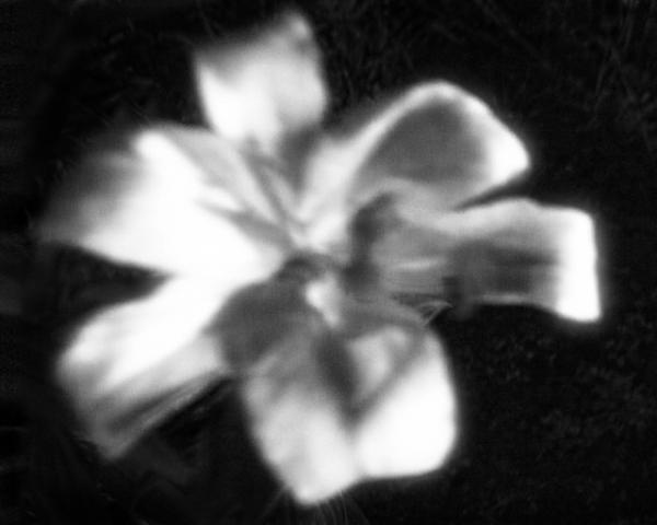 写真家ヨーガン・アクセルバルの写真集「Go to become」が数量限定で発売