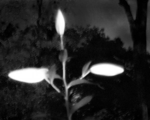 写真家ヨーガン・アクセルバルの写真集「Go to become」が数量限定で発売