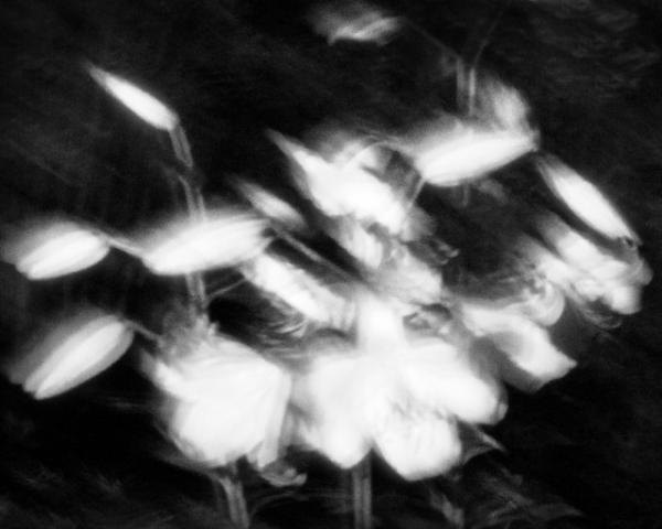 写真家ヨーガン・アクセルバルの写真集「Go to become」が数量限定で発売