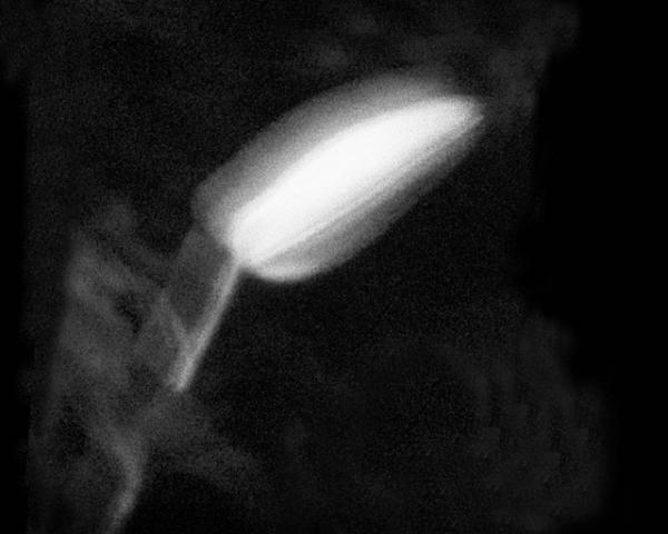 写真家ヨーガン・アクセルバルの写真集「Go to become」が数量限定で発売