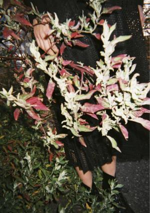 【ルック】クリーナ2017-18秋冬コレクション