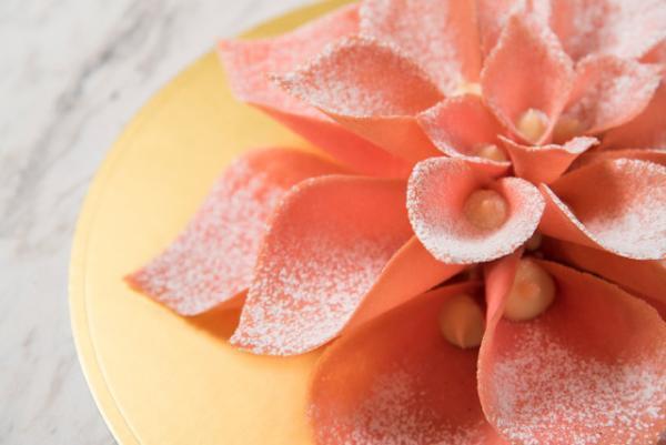 ドミニクアンセルベーカリー、世界初テイクアウト専門店が銀座にオープン。日本の伝統文化からインスピレーション