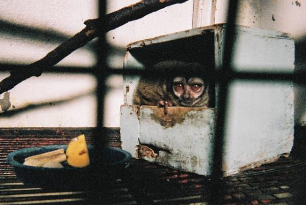 写真家・上田義彦に学んだ多摩美大生7名の卒業制作展「Shining in your eyes 2017」開催