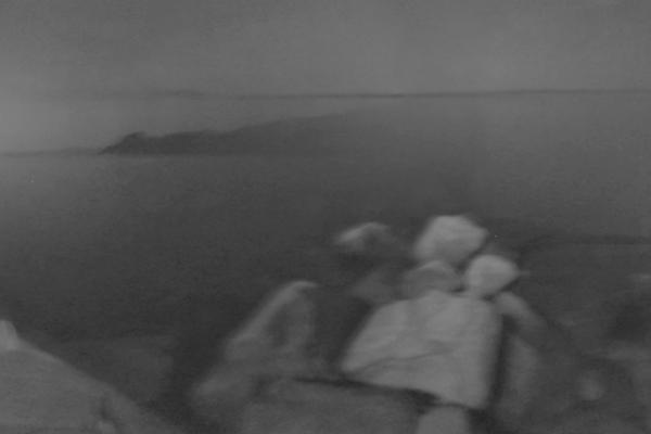 写真家・上田義彦に学んだ多摩美大生7名の卒業制作展「Shining in your eyes 2017」開催