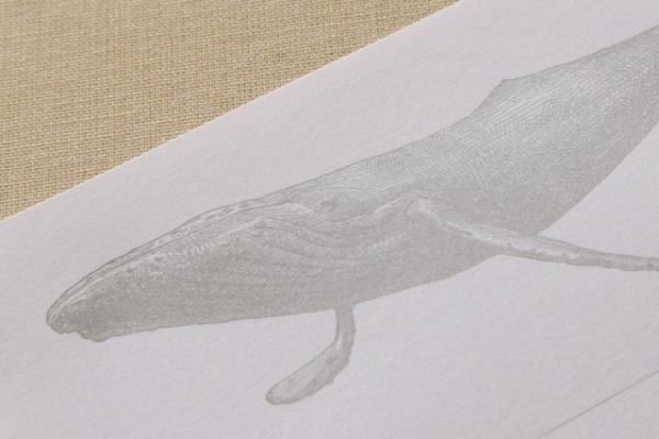 パスザバトンで羽車のオリジナルステーショナリーを紹介する「人と人をつなぐ紙」