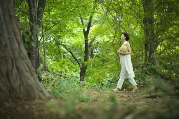 高木正勝のオーケストラも出演する京都・岡崎エリアの音楽祭「OKAZAKI LOOPS」が6月開催