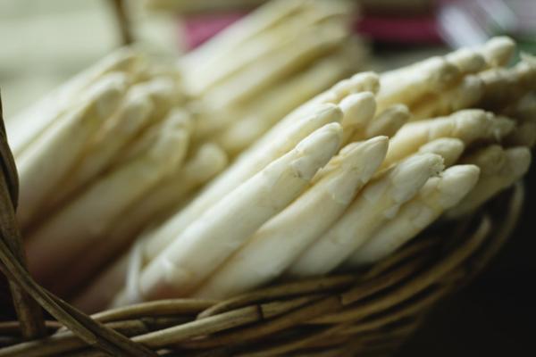 アンダーズ 東京、4月はヨーロッパ料理、5月はホワイトアスパラ尽くしのスペシャルメニューを提供