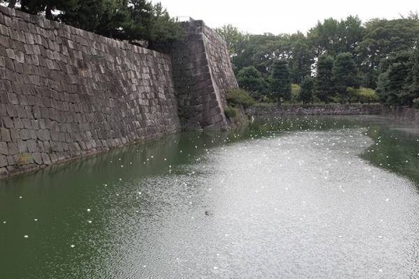 世界遺産の二条城が現代アートの展示場に。 幻想的なアート体験ができる「アジア回廊現代美術展」をレポート