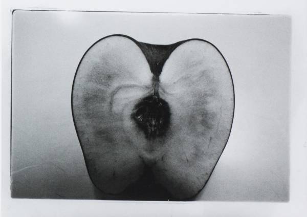 CASEが東京とロッテルダムに新スペースをオープン、東京のオープニングイベントは荒木経惟の写真展