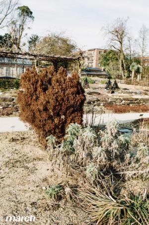 tac:tacがクリープハイプ尾崎世界観などを起用し初のフォトブックを発売。高円寺店ではポップアップとライブ