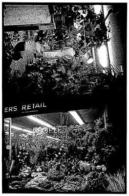 写真家・森山大道の作品展覧会、ギンザ シックスのアートギャラリーで開催