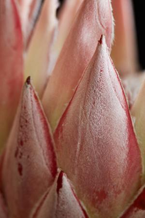 とっておきのワンピースで休日ディナーを。頑張った自分へのご褒美【サローネの休日--SATURDAY】